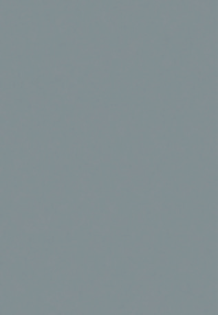 DUST GREY